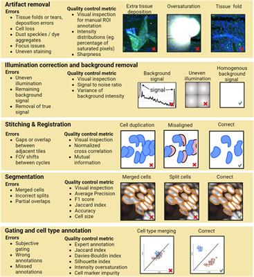 A perspective on FAIR quality control in multiplexed imaging data processing